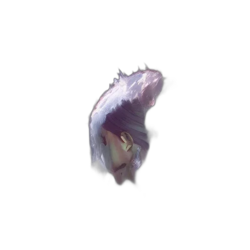 creature, dragon, hair, face transparent PNG cut-out