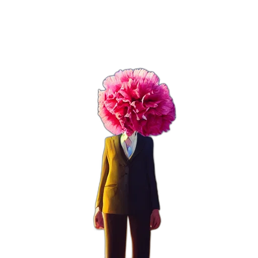 flower, hat, mask, crown transparent PNG cut-out