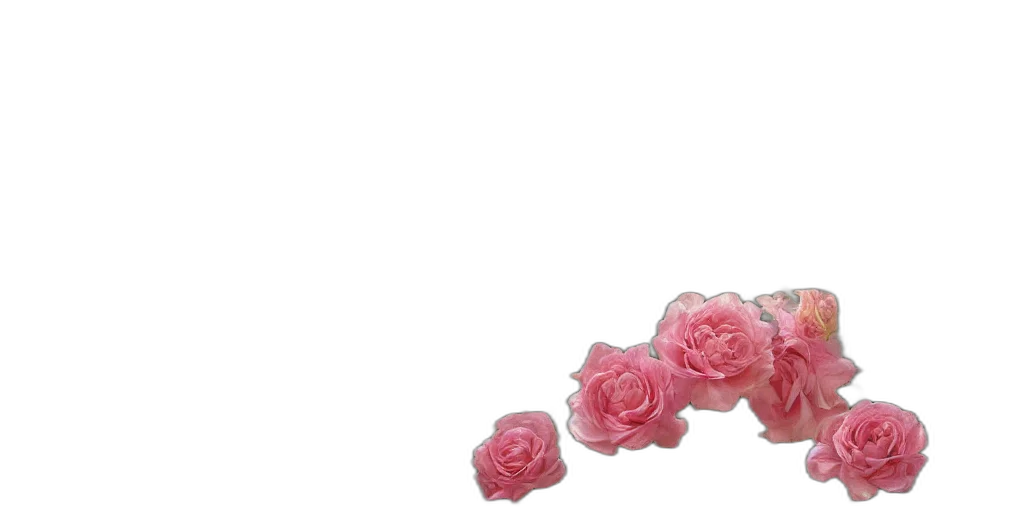 flower, jewelry, crown, shoes transparent PNG cut-out