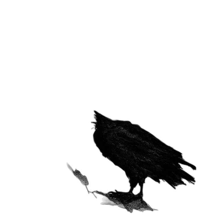 animal, creature, mask, dress, concept art, comic book art, pixel art, fantasy art transparent PNG cut-out