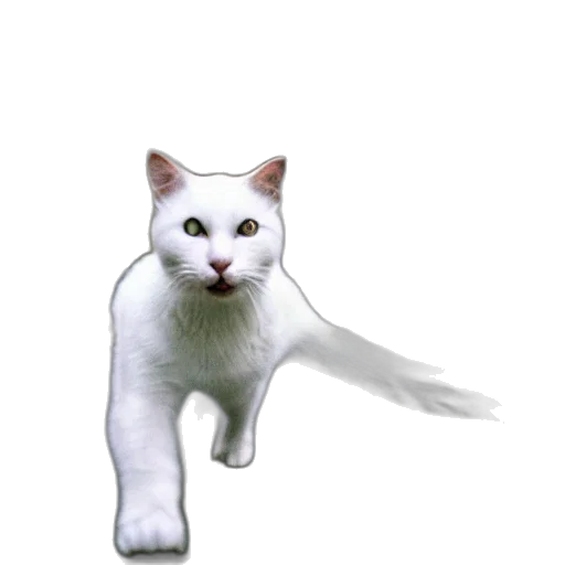 animal, creature, staff, robot transparent PNG cut-out