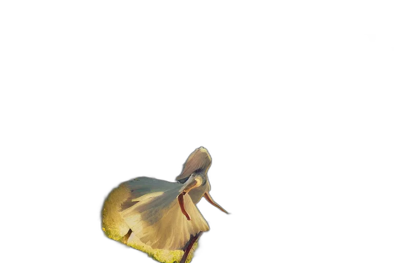 animal, creature, dragon, hat, 3d render, photorealistic, concept art, oil painting transparent PNG cut-out