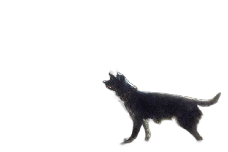 animal, creature, staff, dragon transparent PNG cut-out