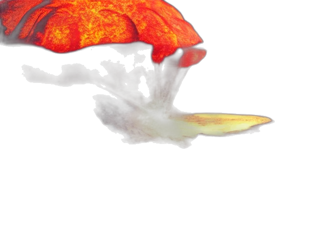 dragon, flower, hat, umbrella transparent PNG cut-out