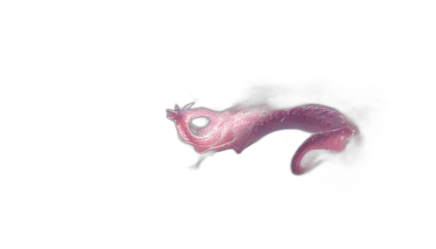 dragon, creature, animal, staff transparent PNG cut-out