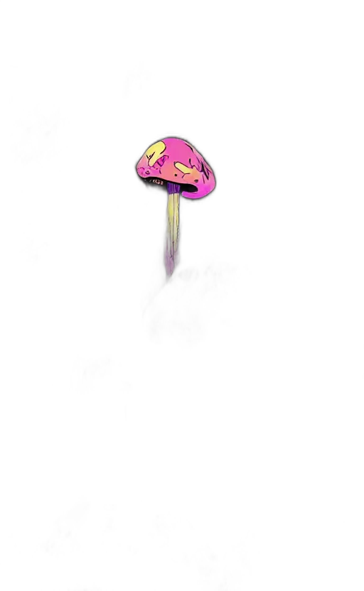 hat, umbrella, jewelry, staff transparent PNG cut-out