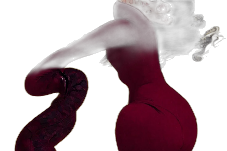 dress, hat, mask, crown transparent PNG cut-out