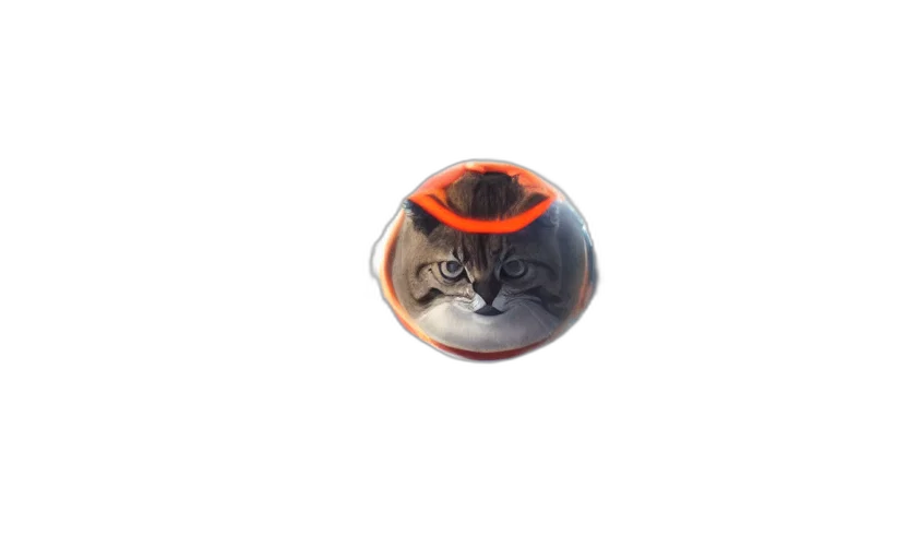 animal, hat, staff, jewelry transparent PNG cut-out