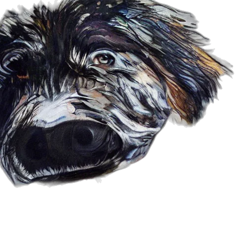 animal, face, watercolor, photorealistic, oil painting, pencil sketch, painting, dog transparent PNG cut-out