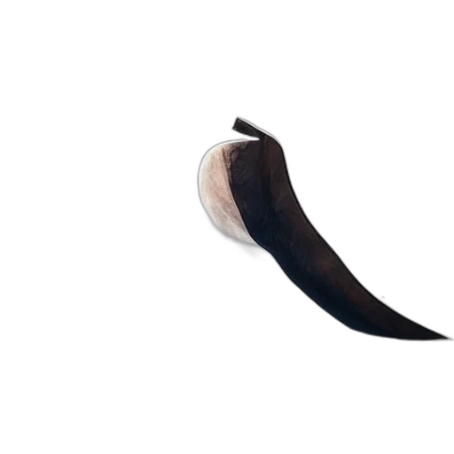 shoes, food, weapon, staff, 3d render, photorealistic, concept art, pixel art transparent PNG cut-out