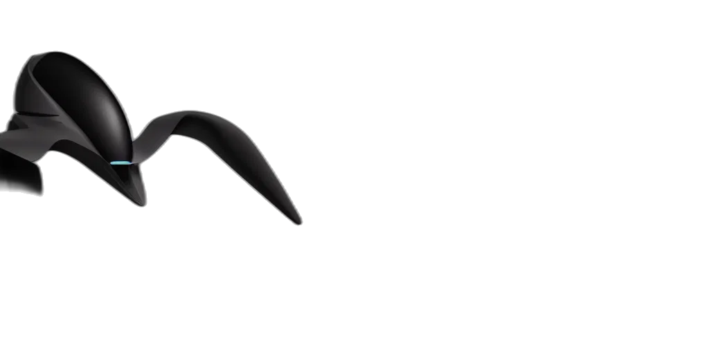 shoes, hair, staff, hat transparent PNG cut-out