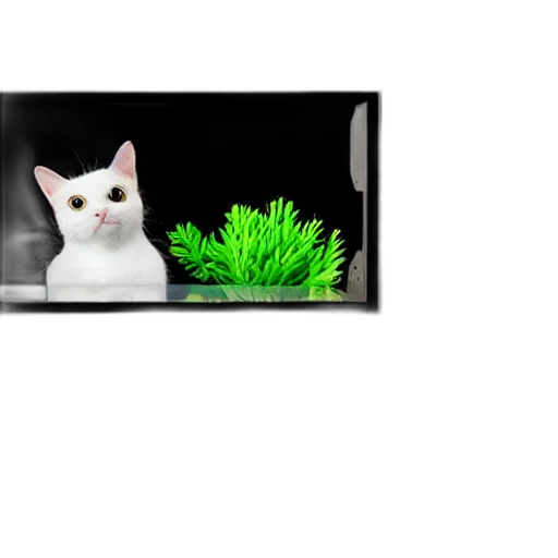 animal, creature, 3d render, pixel art, photorealistic, vaporwave, underwater, forest transparent PNG cut-out
