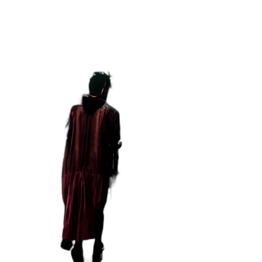 dress, jacket, staff, creature transparent PNG cut-out