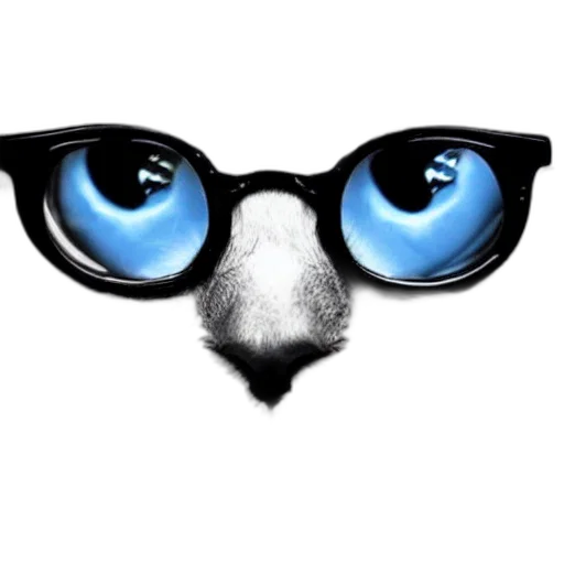animal, mask, staff, face transparent PNG cut-out