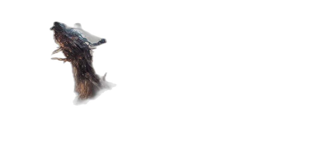 hat, hair, crown, mask transparent PNG cut-out