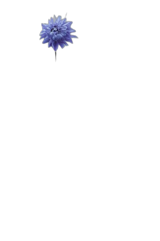 crown, umbrella, staff, dragon, pixel art, concept art, 3d render, vaporwave transparent PNG cut-out