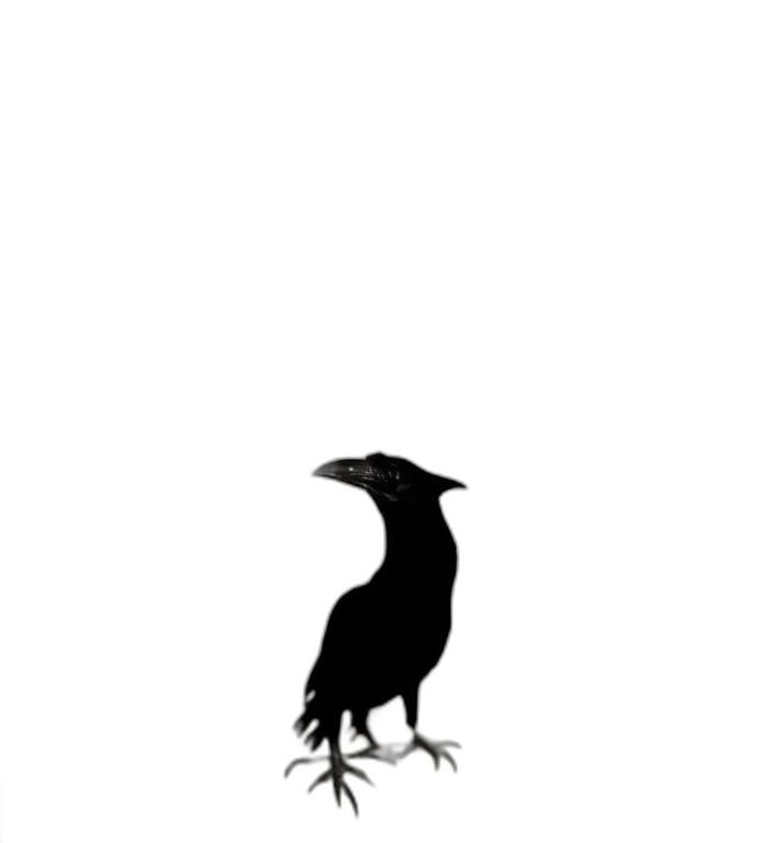 animal, creature, dragon, dress, concept art, pixel art, fantasy art, photorealistic transparent PNG cut-out