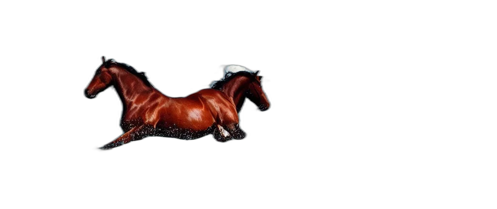 animal, crown, furniture, dragon, photorealistic, 3d render, horse, swiming transparent PNG cut-out