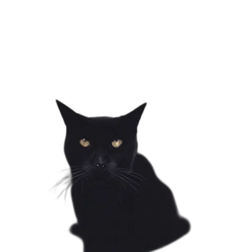 animal, creature, face, staff, photorealistic, pixel art, 3d render, cartoon transparent PNG cut-out