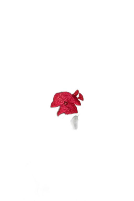 hat, flower, umbrella, crown, 3d render, pixel art, photorealistic, red transparent PNG cut-out