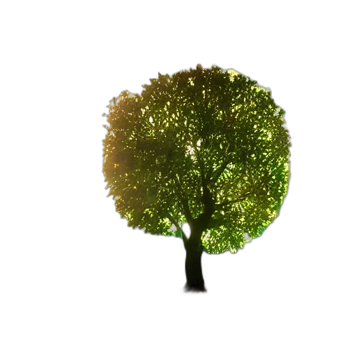 tree, crown, hair, animal, 3d render, photorealistic, concept art, pixel art transparent PNG cut-out