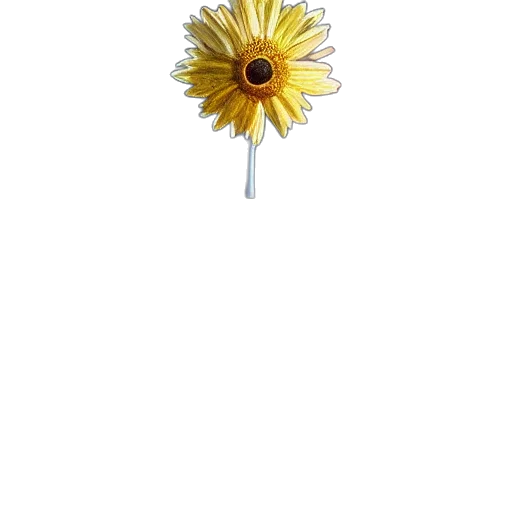 flower, jewelry, staff, crown, 3d render, photorealistic, giant, daisy transparent PNG cut-out