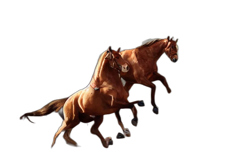 animal, concept art, photorealistic, 3d render, pixel art, algerian, fantazia, horse transparent PNG cut-out