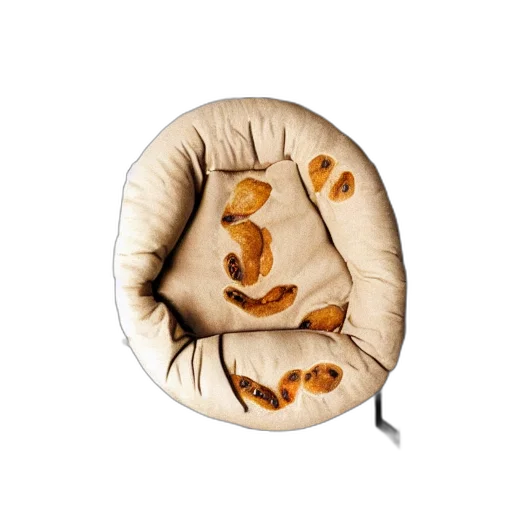 food, jacket, furniture, face, photorealistic, 3d render, concept art, naan transparent PNG cut-out