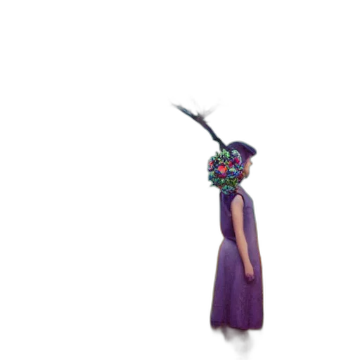 dress, mask, crown, flower transparent PNG cut-out