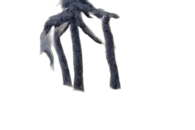 creature, hair, animal, mask, concept art, 3d render, watercolor, photorealistic transparent PNG cut-out