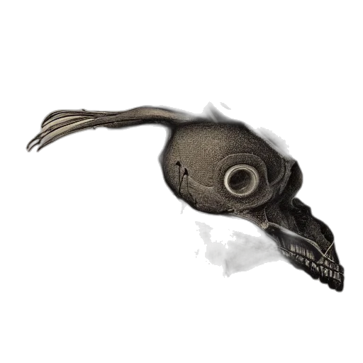mask, creature, staff, weapon transparent PNG cut-out