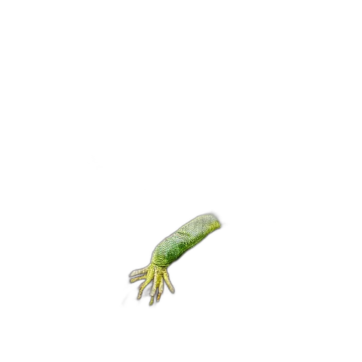 creature, animal, food, dragon transparent PNG cut-out