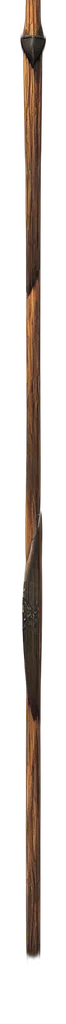 staff, sword, weapon, hair, 3d render, photorealistic, earth tones, digital transparent PNG cut-out