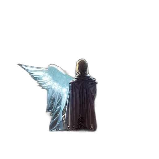jacket, weapon, staff, sword transparent PNG cut-out
