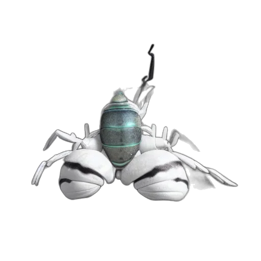 robot, creature, animal, jewelry transparent PNG cut-out