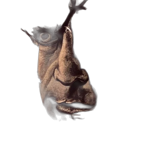 animal, mask, face, creature transparent PNG cut-out