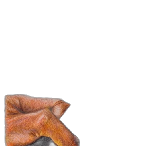 animal, mask, dragon, face transparent PNG cut-out