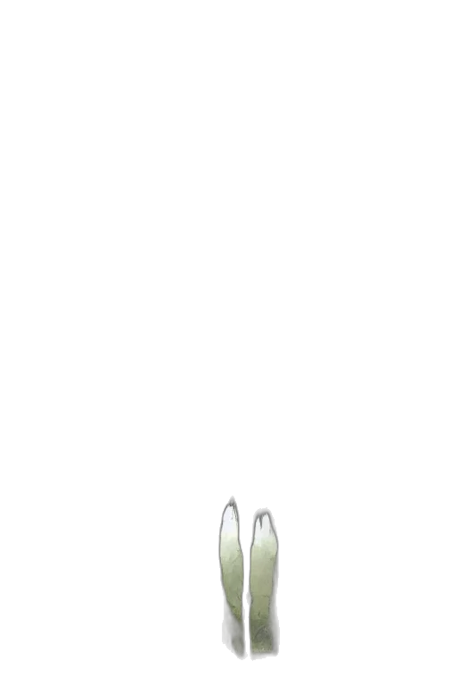 jewelry, shoes, weapon, flower transparent PNG cut-out
