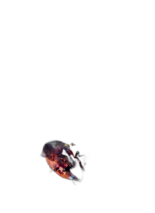 creature, animal, dragon, weapon transparent PNG cut-out
