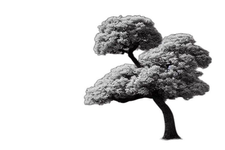 tree, crown, umbrella, furniture, photorealistic, 3d render, concept art, pencil sketch transparent PNG cut-out