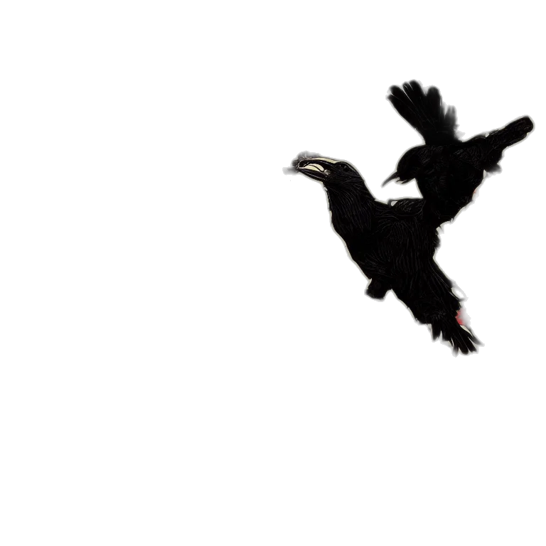 dragon, animal, creature, hair, concept art, pixel art, photorealistic, 3d render transparent PNG cut-out