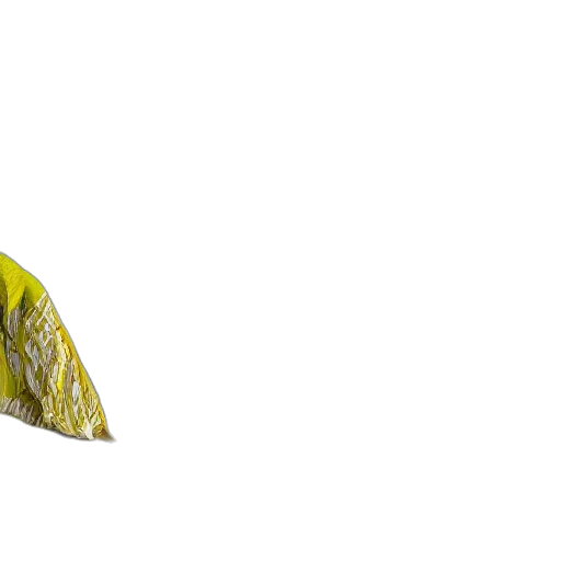 umbrella, staff, jacket, shoes transparent PNG cut-out