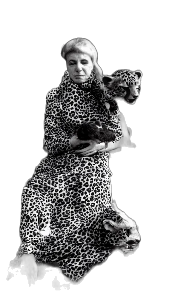 animal, dress, creature, woman transparent PNG cut-out