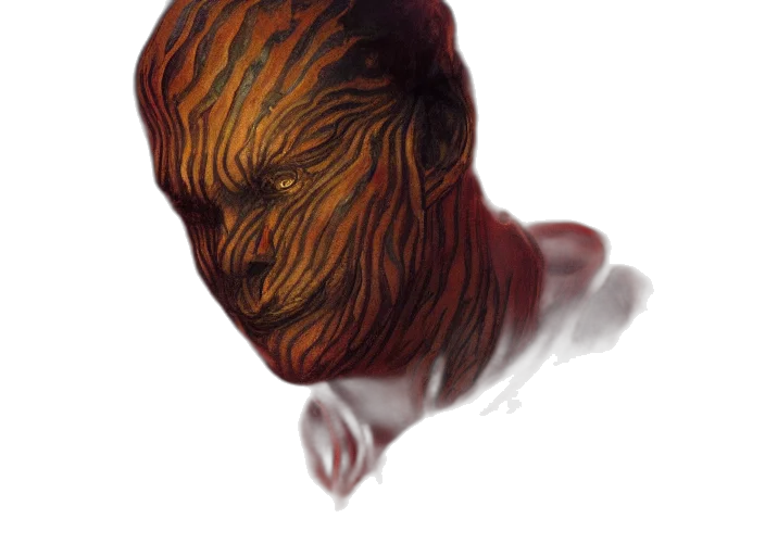 hair, mask, creature, face transparent PNG cut-out