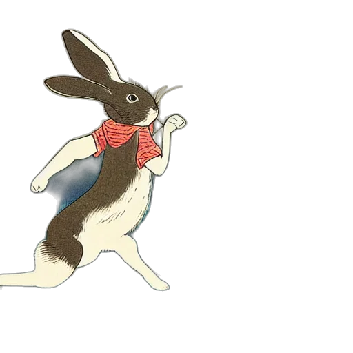 animal, dress, creature, concept art transparent PNG cut-out