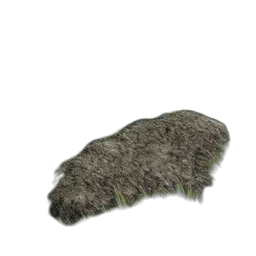 hat, hair, animal, shoes, 3d render, photorealistic, concept art, grass transparent PNG cut-out