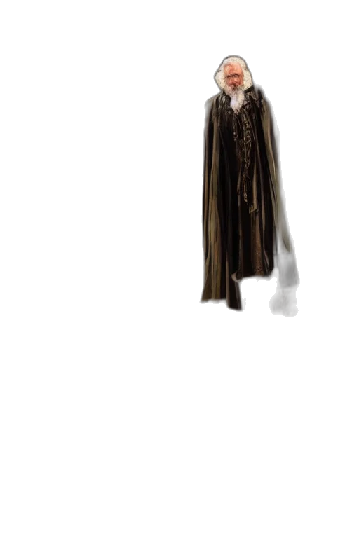 dress, jacket, staff, hair transparent PNG cut-out
