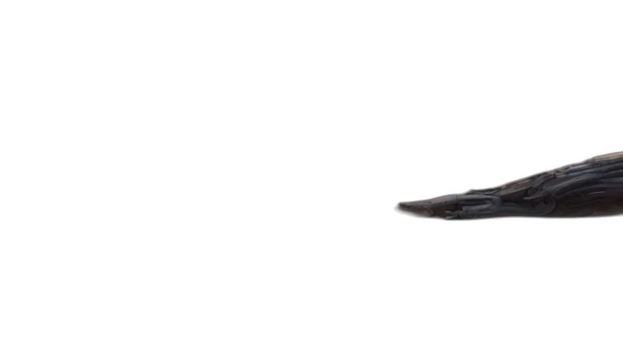 weapon, shoes, sword, staff transparent PNG cut-out