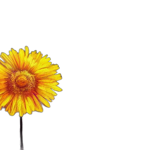 flower, crown, umbrella, staff transparent PNG cut-out