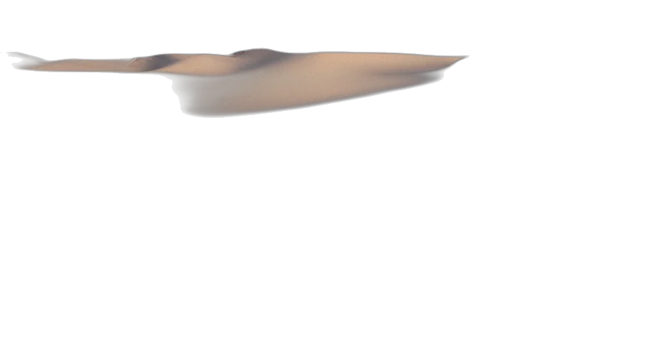 sword, weapon, umbrella, hat transparent PNG cut-out